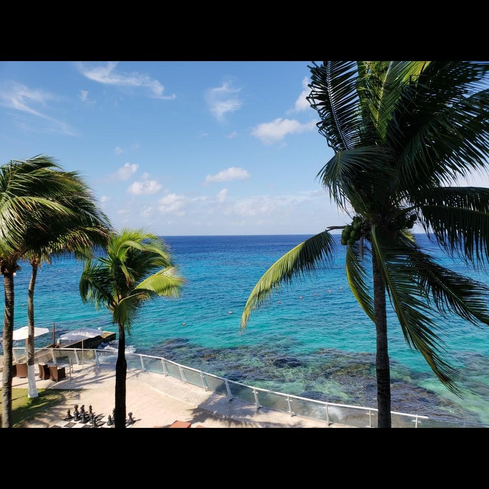 Meet your Posher, Katya